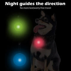 LED Luminous Safety Pendant - Night Visibility Pet Light for Collars