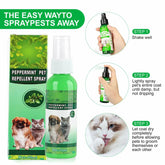 Natural Flea & Tick Spray for Dogs & Cats - 60ml Peppermint Oil Pest Repellent with Eugenol, Fresh Fragrance Topical Care