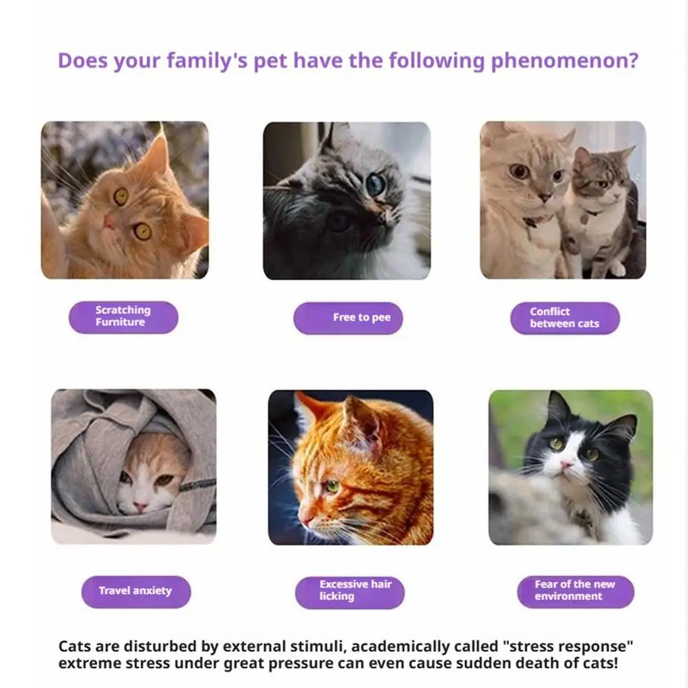 Pet Calming Diffuser 48ml - Stop Scratching & Peeing from Anxiety