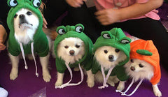 Pet Hoodie Sweater - Winter Pullover with Sports & Animal Designs