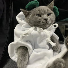 Pet Hoodie Sweater - Winter Pullover with Sports & Animal Designs