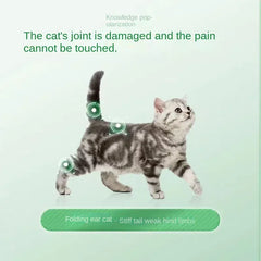 Pet Joint Supplement - Chondroitin Glucosamine Liquid for Dogs & Cats