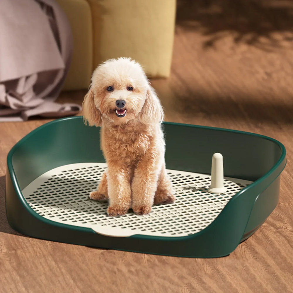 Portable Dog Toilet - Puppy Potty Trainer with Anti-Splash Grid