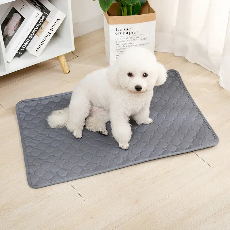 Reusable Dog Pee Pad - Washable Absorbent Puppy Training Mat Waterproof