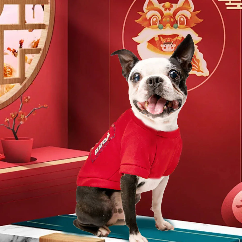 Solid Color Pet Hoodie - Two-Legged Winter Sweatshirt for Cats & Puppies