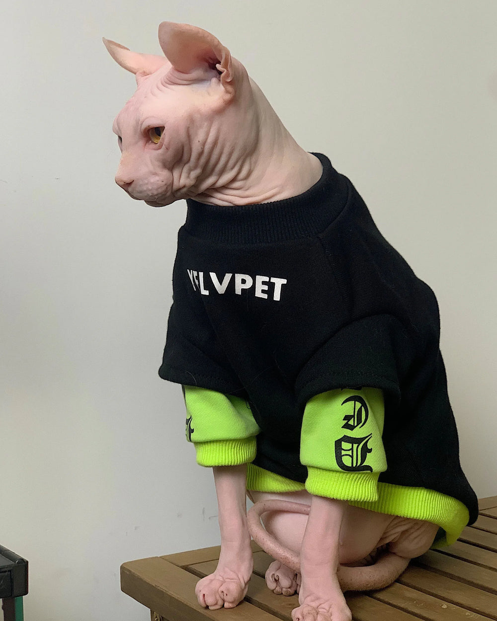 Sphynx Cat Sweatshirt - Long Sleeve Winter Coat for Hairless Cats