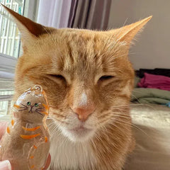 Transparent Cat Hair Storage Keychain - Pet Fur Keepsake Memorial Pendant