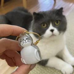Transparent Cat Hair Storage Keychain - Pet Fur Keepsake Memorial Pendant
