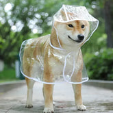 Transparent Dog Raincoat – Waterproof Hooded Rainwear for Small Dogs | Soft PVC Puppy Rain Poncho | Lightweight Pet Jacket
