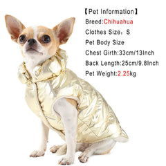 Waterproof Cat Coat with D-Ring - Windproof Winter Jacket for Dogs & Cats