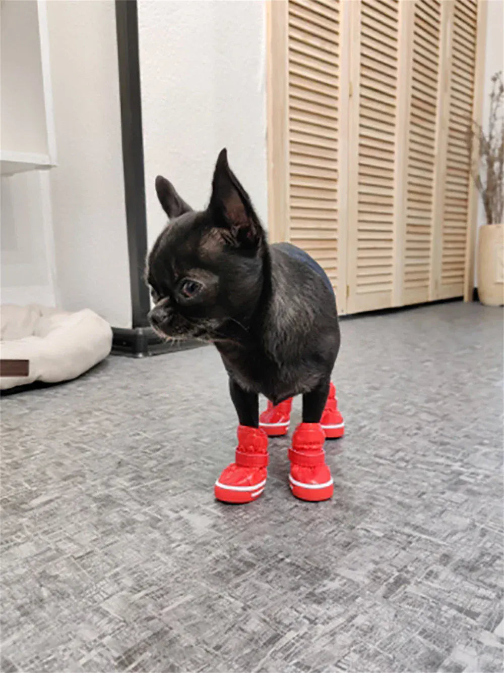 Winter Dog Boots 4-Pack - Waterproof Snow Shoes for Small Dogs & Cats