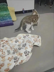 Winter Pet Blanket with Paw Print - Cozy Thicken Fleece Mat for Cats & Dogs