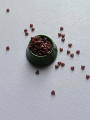 1/12 Scale Dollhouse Miniature Pet Food Set | Dog & Cat Bowls with Dry Food | Tiny Doll Accessories for Play Scenes & Photography