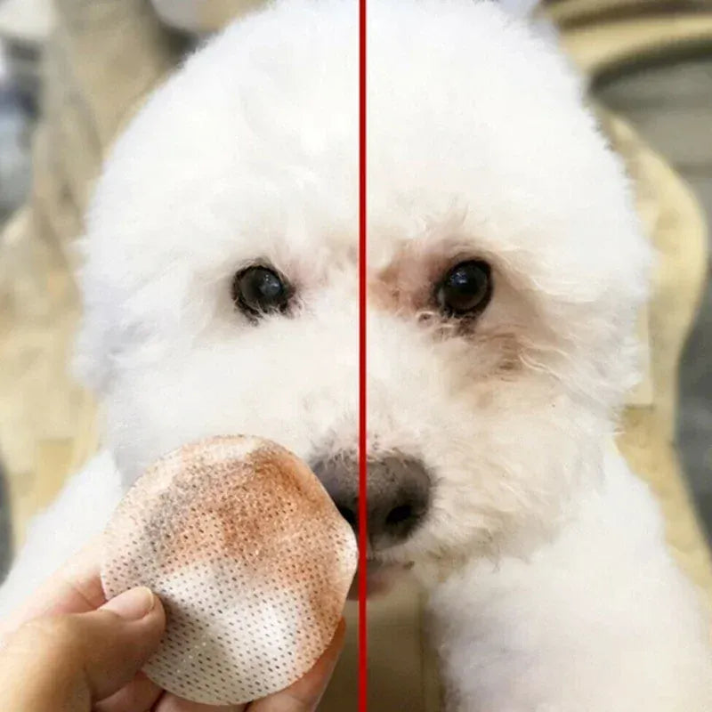 130 Pcs Pet Eye Cleaning Wipes | Tear Stain Remover for Dogs & Cats | Gentle Grooming Wipes | Non-Foaming Soft Pet Towels