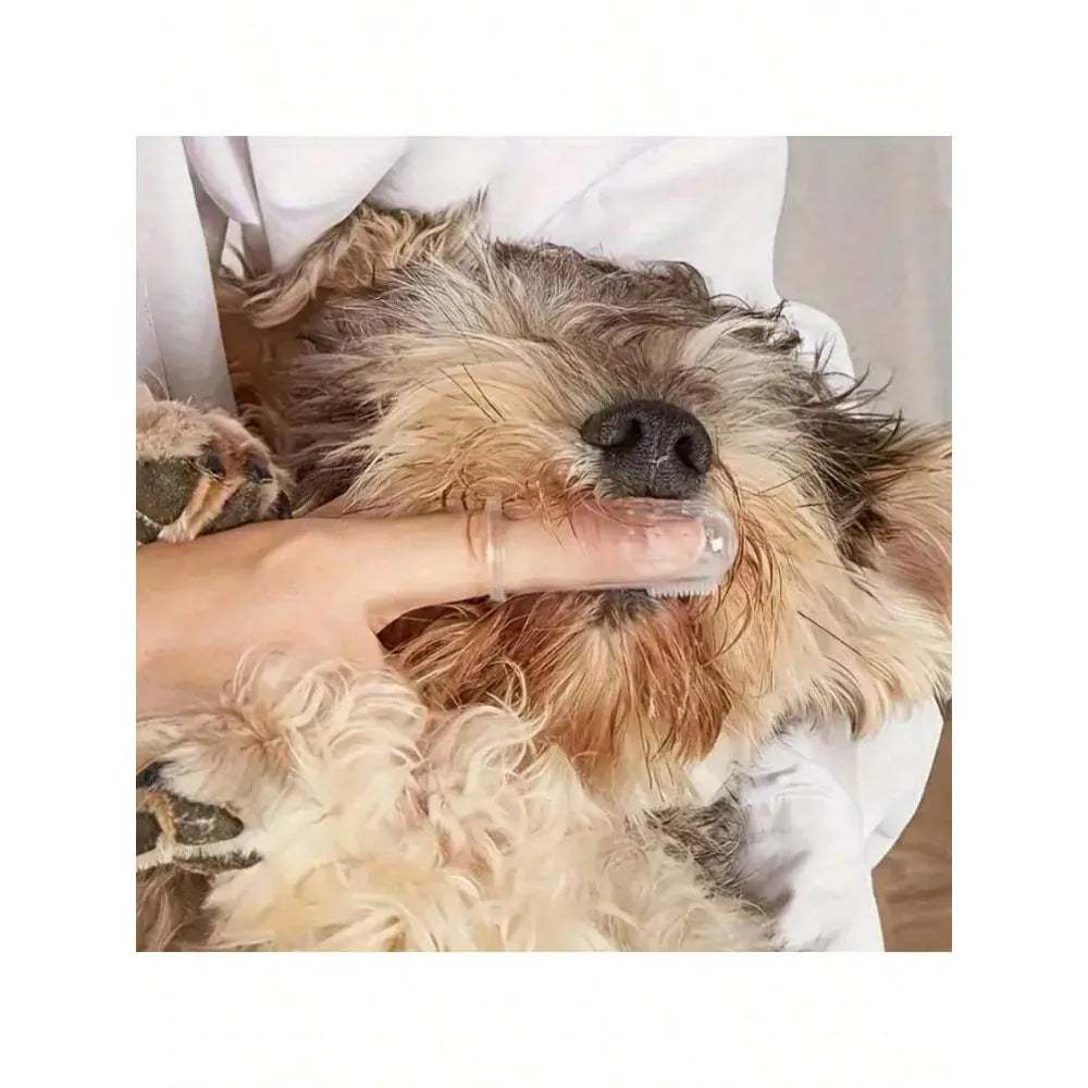 1pc Pet Finger Toothbrush for Dogs & Cats | Soft Silicone Brush for Breath & Gum Care | Portable Pet Dental Cleaning Tool