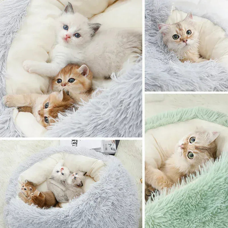 2-in-1 Cat Bed Winter Plush - Convertible Sleeping Bag & Round Cushion Pet Bed