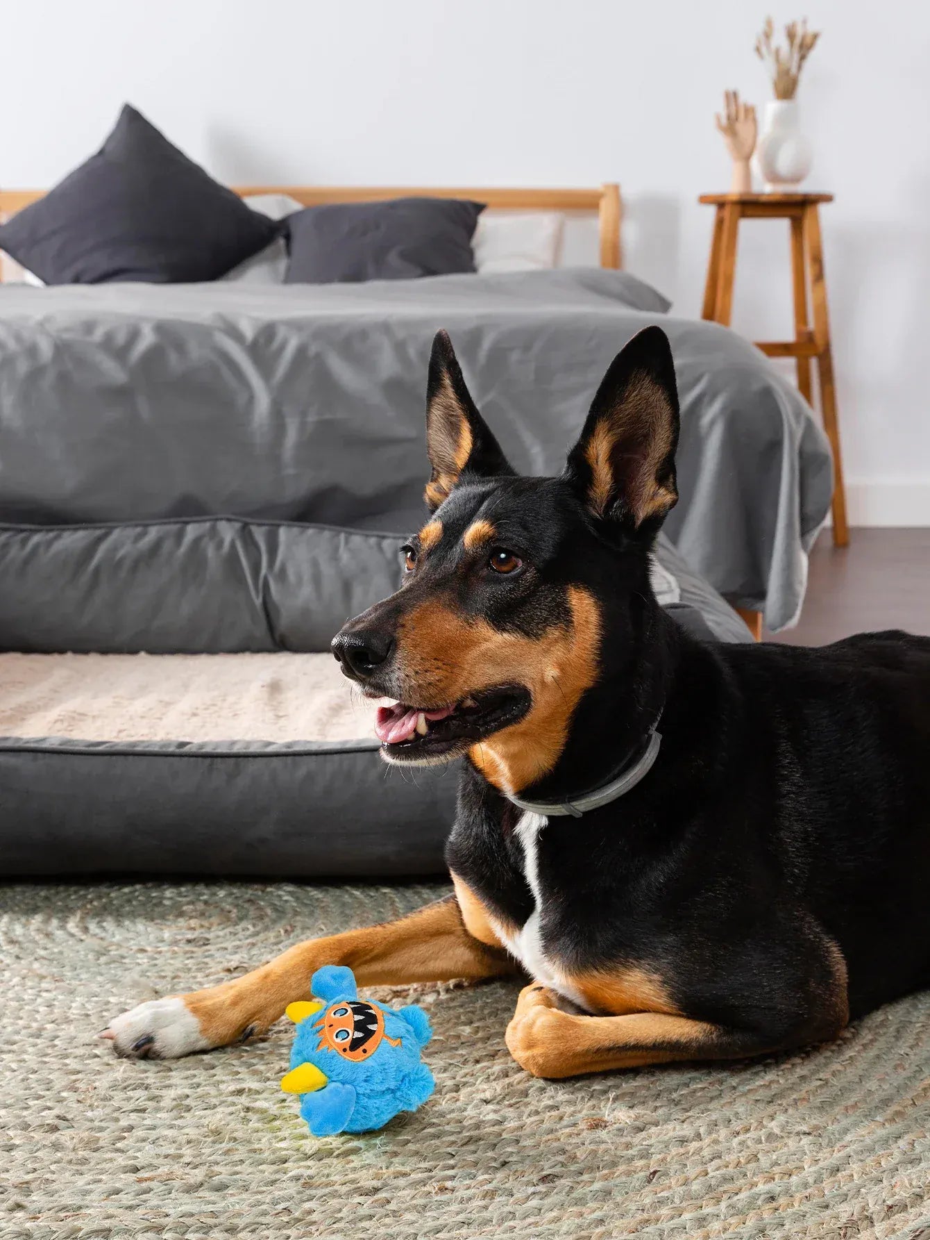 2-in-1 Moving Plush Squeaky Dog Ball | Interactive Motion Toy for Small Dogs | Halloween Pet Gift