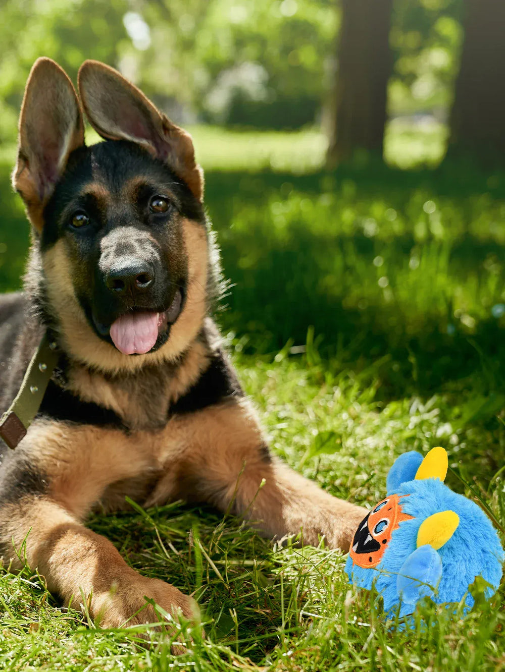 2-in-1 Moving Plush Squeaky Dog Ball | Interactive Motion Toy for Small Dogs | Halloween Pet Gift