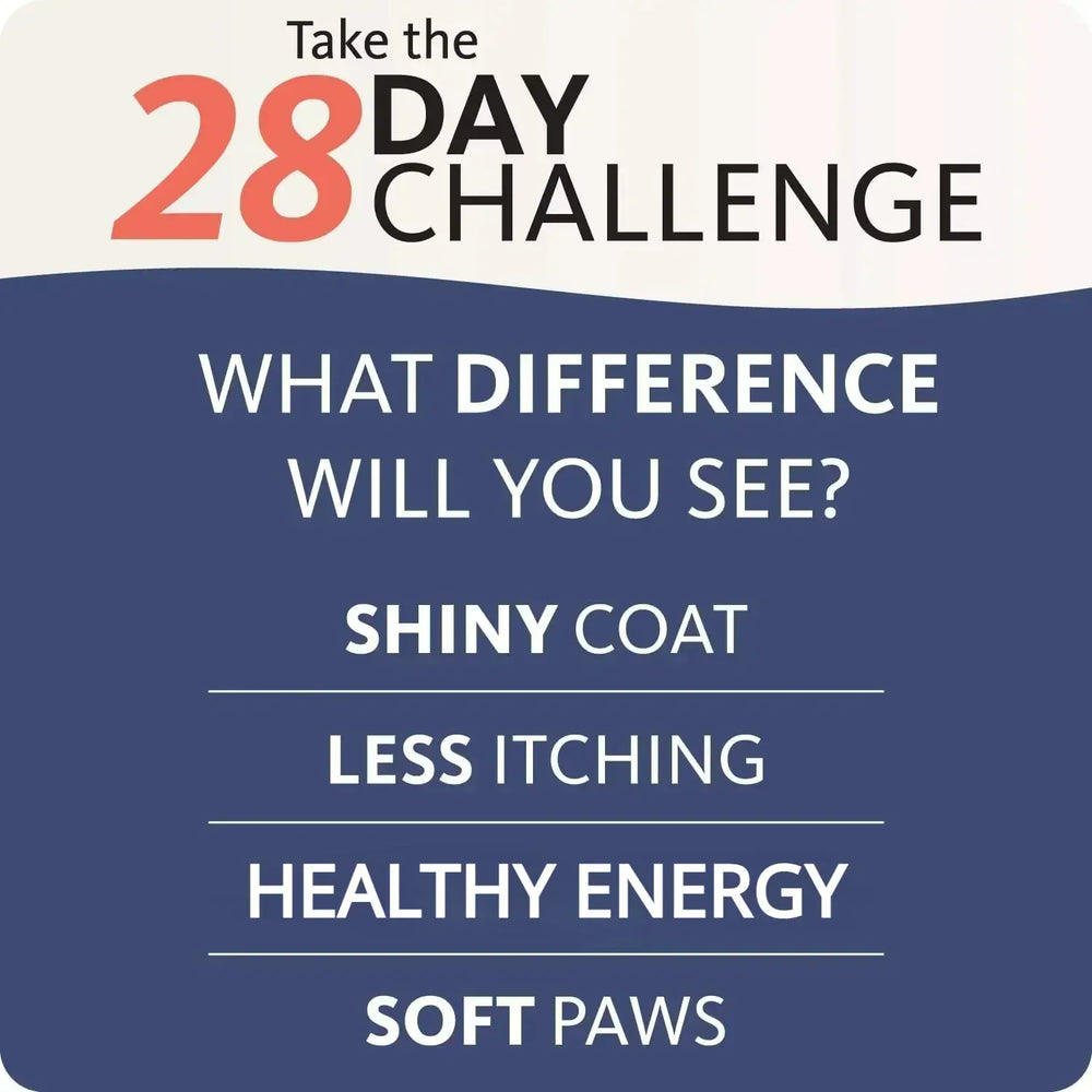 200ml Pure Salmon Oil for Dogs - Natural Omega Fatty Acids Supplement, Skin & Coat Health Support, No Chemical Treatment