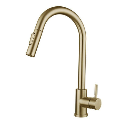 Kitchen Sink Faucet