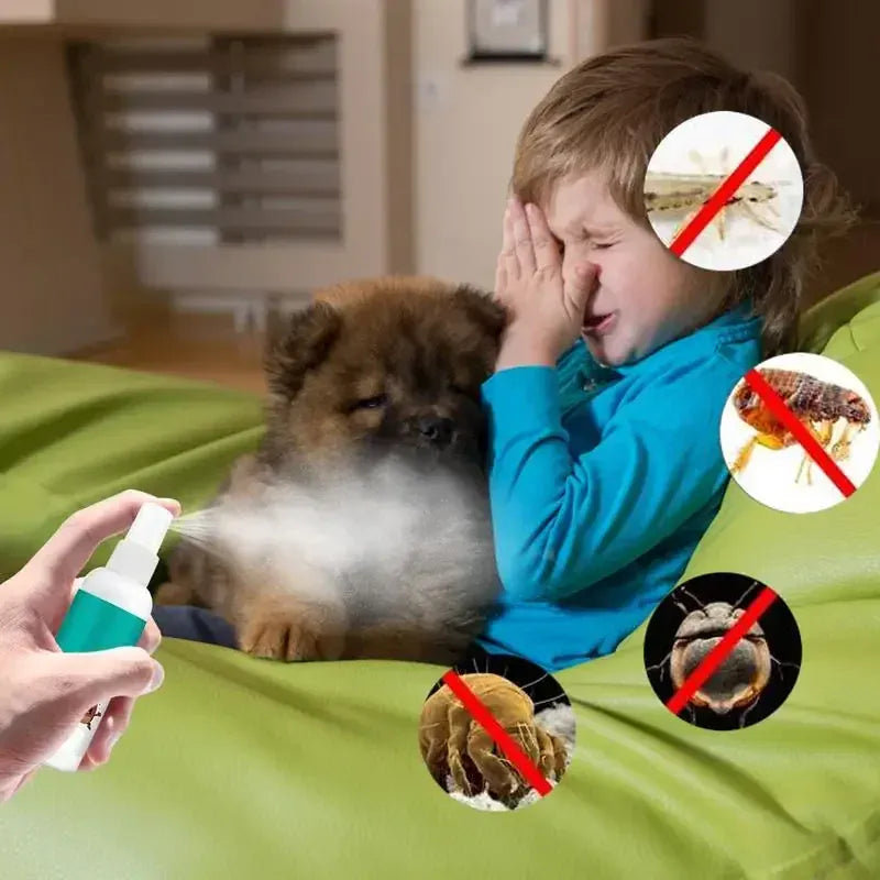 30ml Pet Flea & Tick Spray - Fast-Acting Treatment for Dogs & Cats, Quick Relief from Fleas, Lice and Ticks, Pet Health Supplies