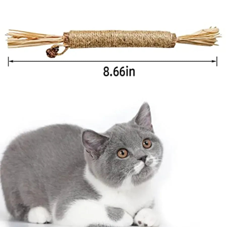 4 Pack Natural Silvervine Sticks for Cats – Chew Toys for Teeth Cleaning & Teething Kittens