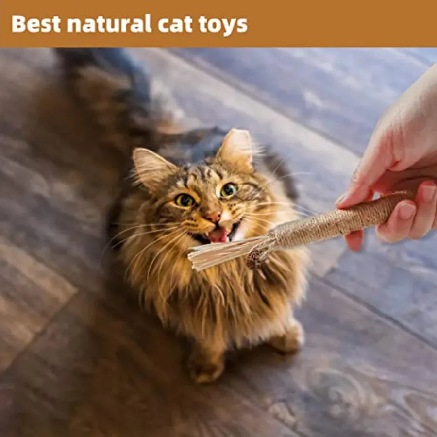 4 Pack Natural Silvervine Sticks for Cats – Chew Toys for Teeth Cleaning & Teething Kittens