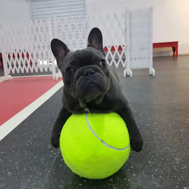 7/8/9.5Inch Dog Tennis Ball Giant Pet Toys for Dog Chewing Toy Signature Mega Jumbo Kids Ball Training Supplies Dropship Plush