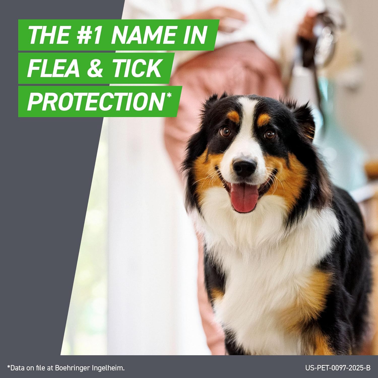 Frontline Plus Flea & Tick Treatment for Small Dogs (5-22 lbs), 6-Dose Pack | High-Quality Parasite Protection.