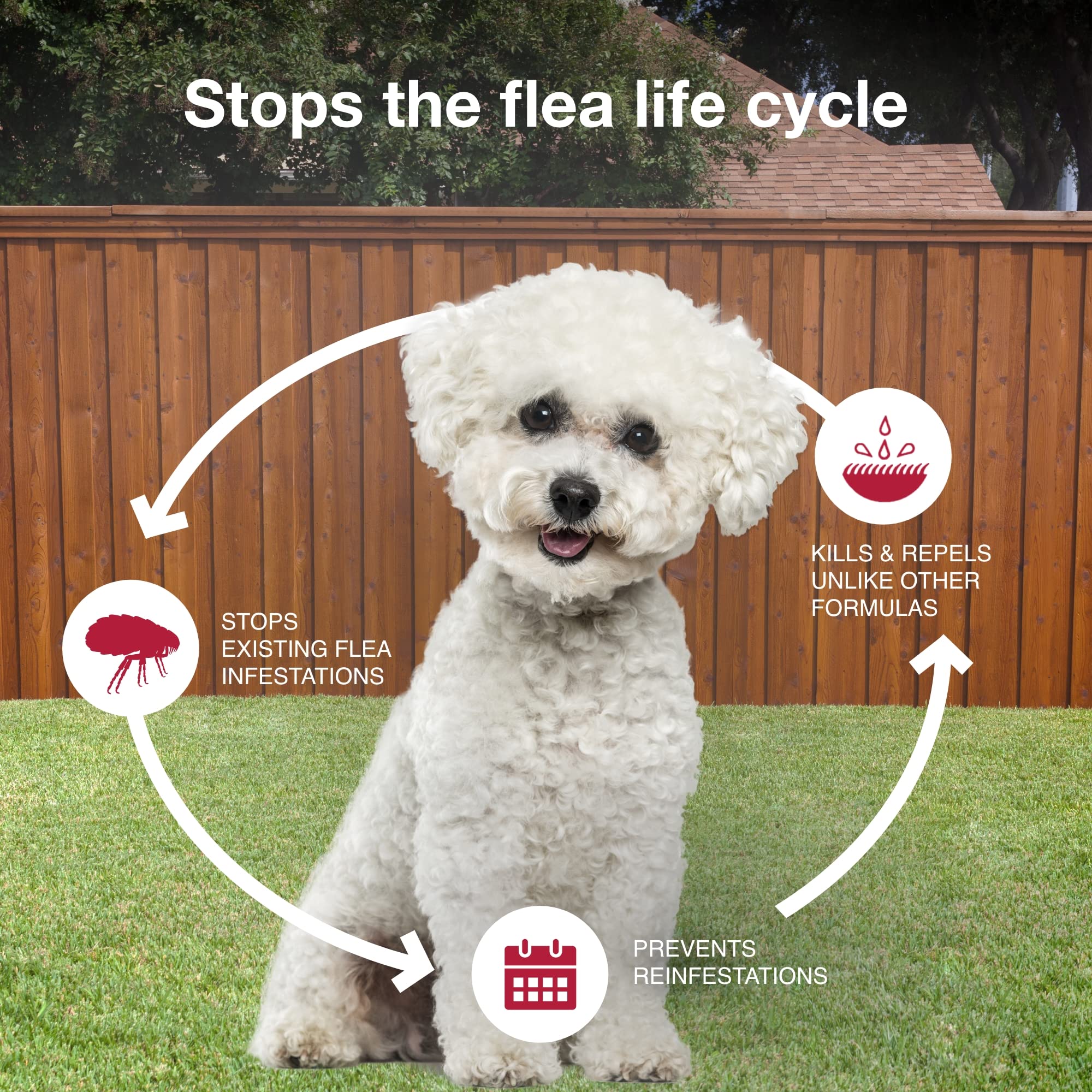 K9 Advantix II Small Dog Vet-Recommended Flea, Tick & Mosquito Treatment & Prevention | Dogs 4-10 lbs. | 2-Mo Supply