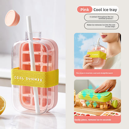 Portable ice Mold