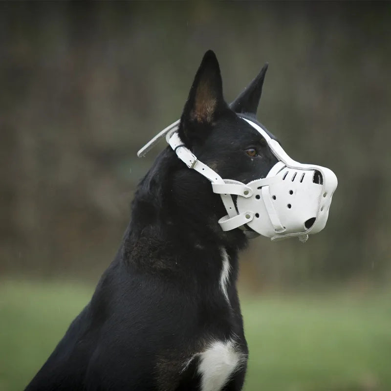 Kangdarpet Durable Leather Dog Muzzle – Adjustable Bite-Proof Cage for Large Dogs, Pitbull, Shepherd, Malinois Training