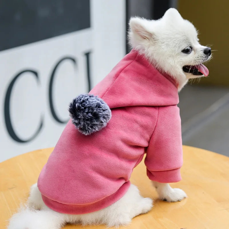 Hooded Velvet Dog Sweater – Thick Cartoon Two-Leg Pet Clothes for Small to Large Dogs | Winter Fall Cozy Jacket