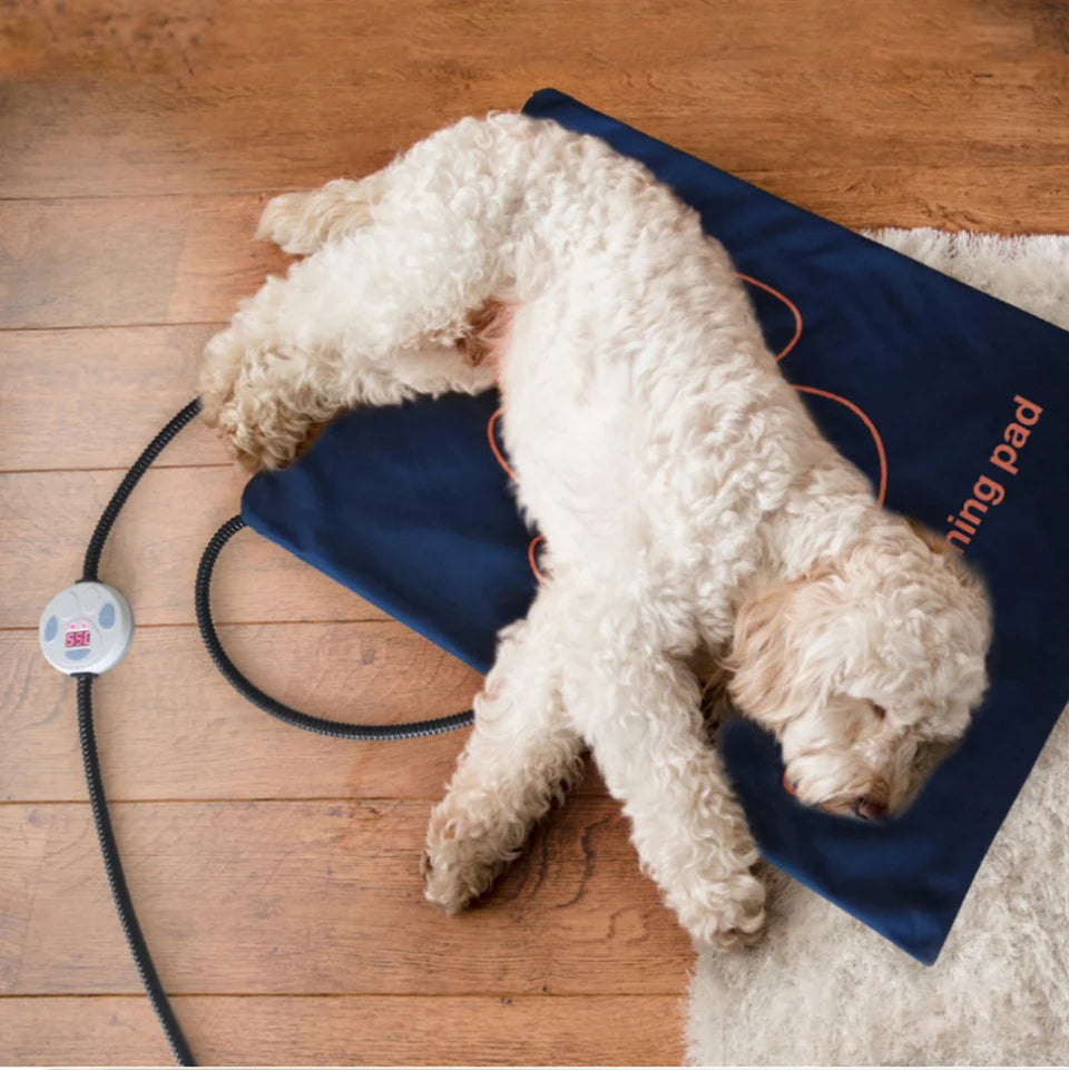 Waterproof Pet Heating Pad for Dogs & Cats – Electric Winter Warmer Blanket 45×60cm | Adjustable Temperature, Anti-Bite Wire & Auto Power-Off Safety