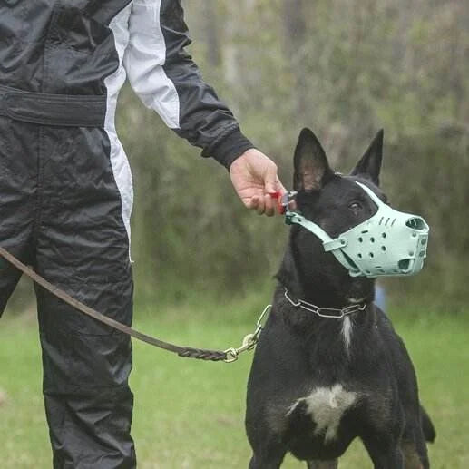 Kangdarpet Durable Leather Dog Muzzle – Adjustable Bite-Proof Cage for Large Dogs, Pitbull, Shepherd, Malinois Training