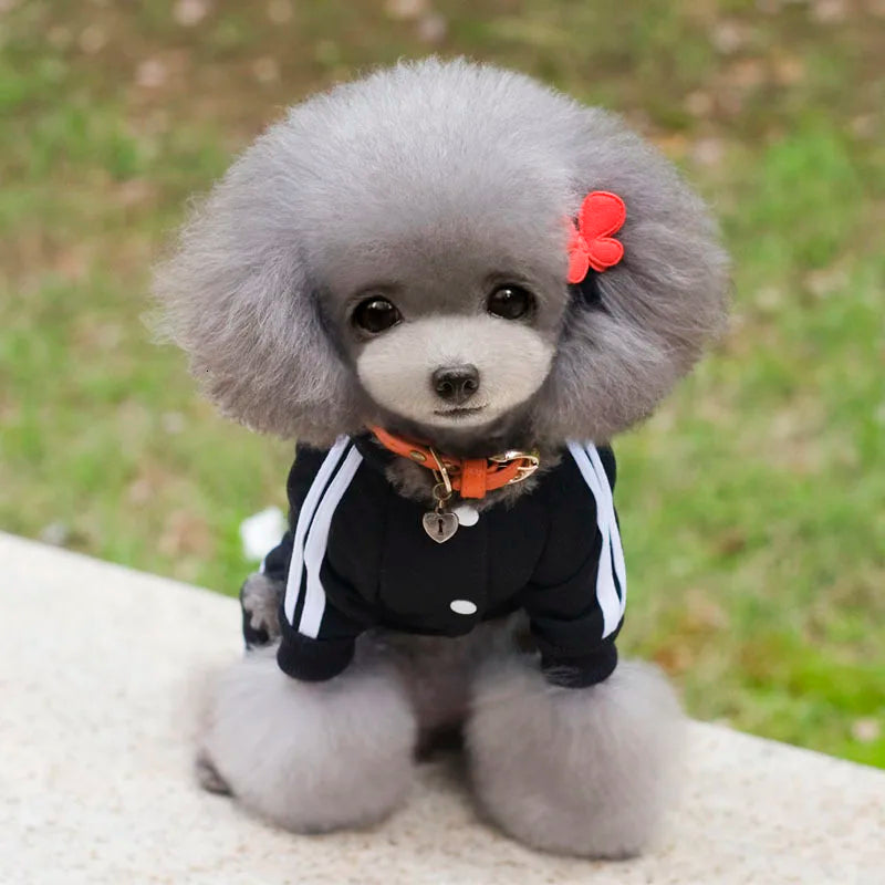 Adidog Dog Clothes Thick Overalls for Dogs, Winter Pet Dog Clothing for Small Dogs Puppy Jumpsuit Tracksuit Costume for Yorkie