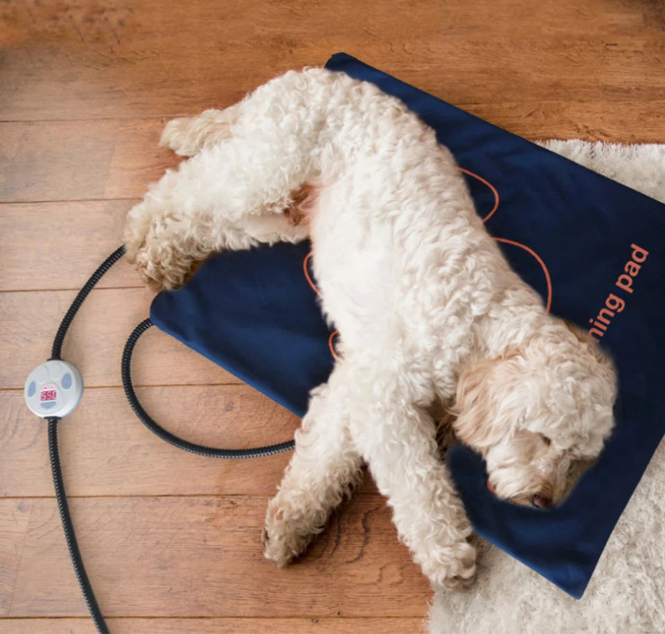 Waterproof Pet Heating Pad for Dogs & Cats – Electric Winter Warmer Blanket 45×60cm | Adjustable Temperature, Anti-Bite Wire & Auto Power-Off Safety