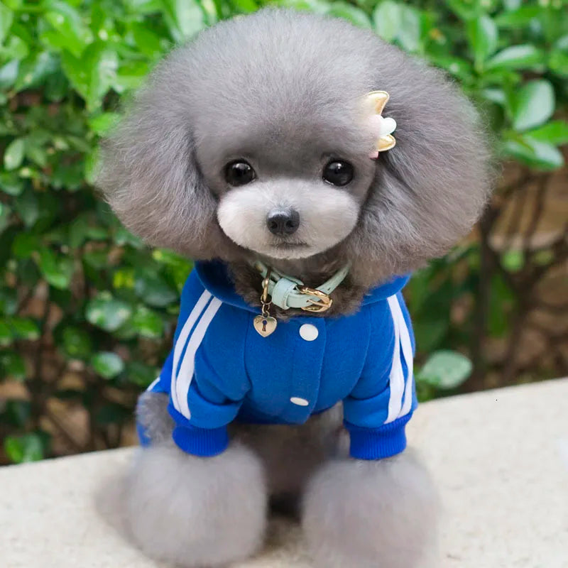 Adidog Dog Clothes Thick Overalls for Dogs, Winter Pet Dog Clothing for Small Dogs Puppy Jumpsuit Tracksuit Costume for Yorkie