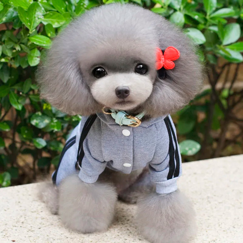 Adidog Dog Clothes Thick Overalls for Dogs, Winter Pet Dog Clothing for Small Dogs Puppy Jumpsuit Tracksuit Costume for Yorkie