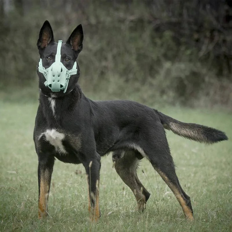 Kangdarpet Durable Leather Dog Muzzle – Adjustable Bite-Proof Cage for Large Dogs, Pitbull, Shepherd, Malinois Training