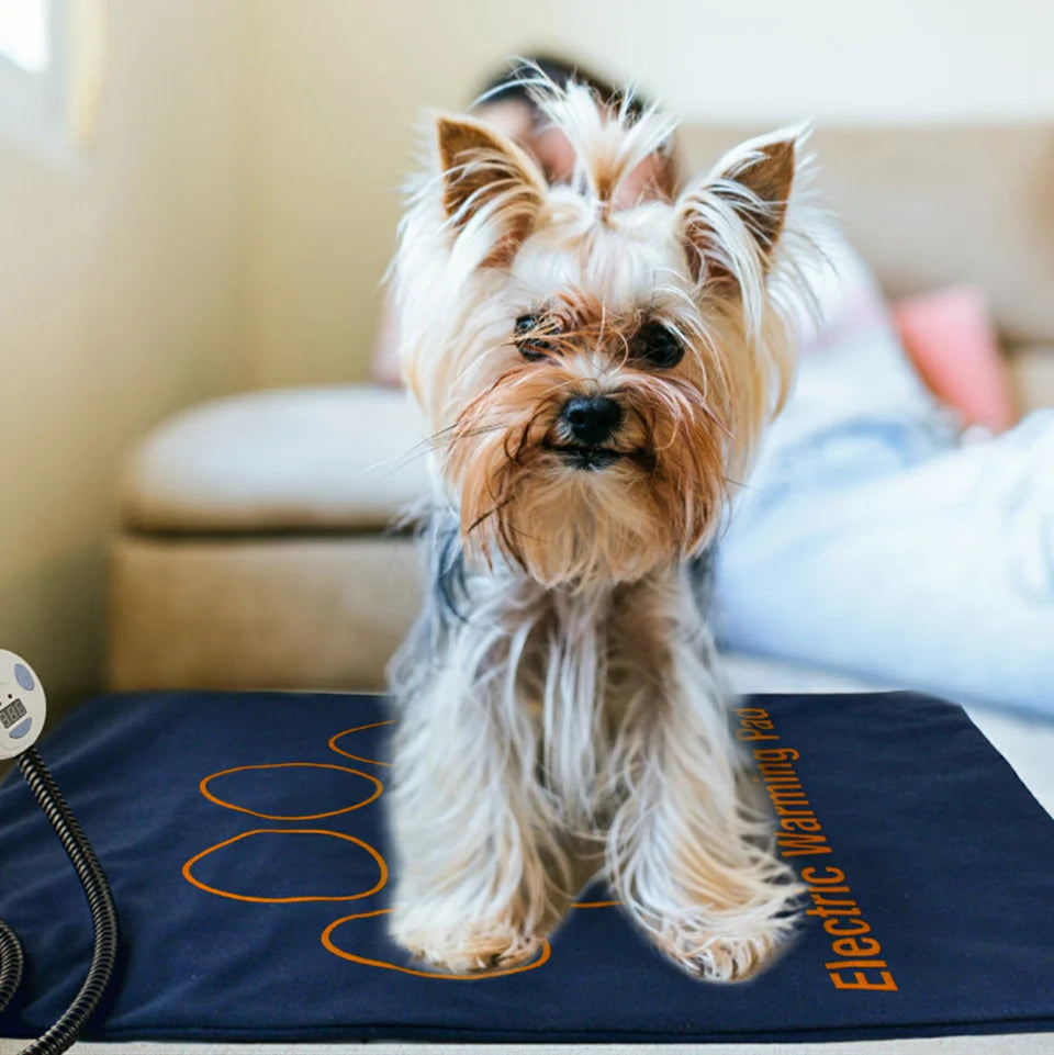 Waterproof Pet Heating Pad for Dogs & Cats – Electric Winter Warmer Blanket 45×60cm | Adjustable Temperature, Anti-Bite Wire & Auto Power-Off Safety