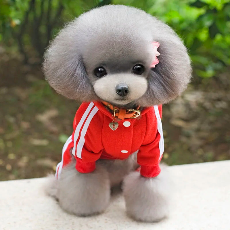 Adidog Dog Clothes Thick Overalls for Dogs, Winter Pet Dog Clothing for Small Dogs Puppy Jumpsuit Tracksuit Costume for Yorkie