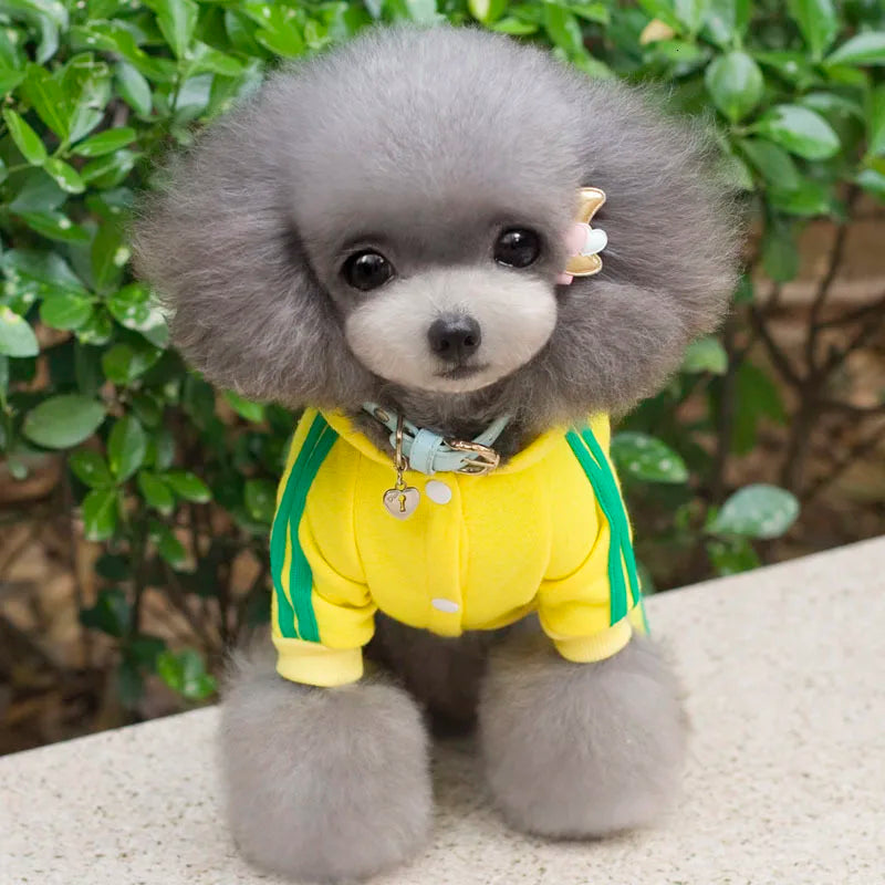 Adidog Dog Clothes Thick Overalls for Dogs, Winter Pet Dog Clothing for Small Dogs Puppy Jumpsuit Tracksuit Costume for Yorkie