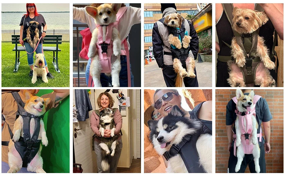 Pet Carrier Backpack for Dogs Cat Thickened Sponge Pet Front Dog Carrier Backpacks Portable Puppy Transportation Dog Bags