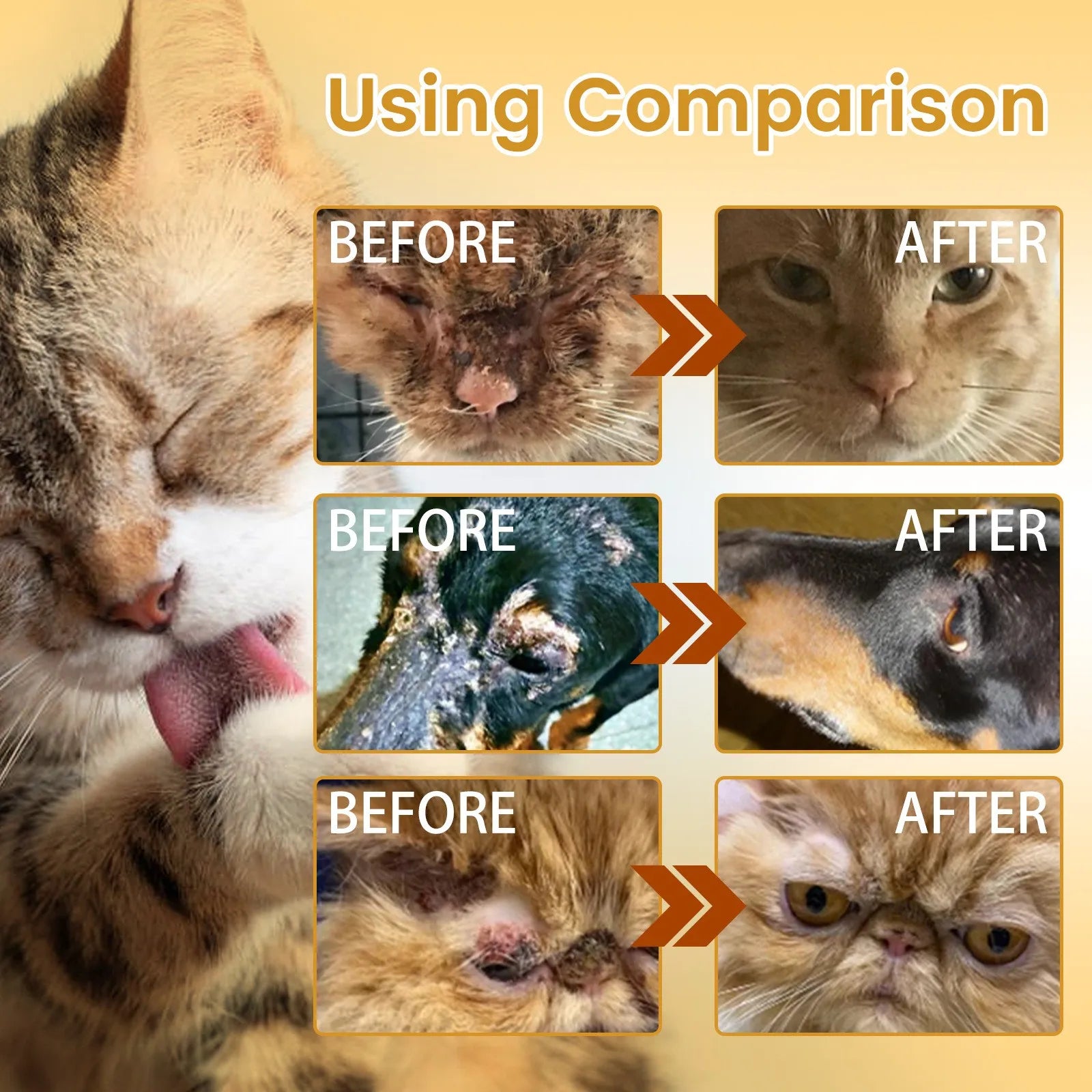 30ml et Moss Anti-Itch Anti-flea Mites Ticks Spray For Cat And Dog Skin Problems Pet Healthy Care Pet Dog cleaning product