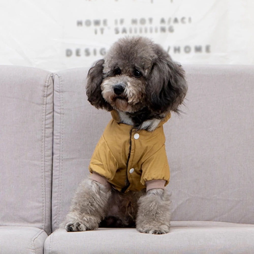 Autumn Winter Warm Clothes With Hoodie Fashionable Design Coats Comfortable Polyester Cotton Jacket for Pet Dog Outdoor Hiking