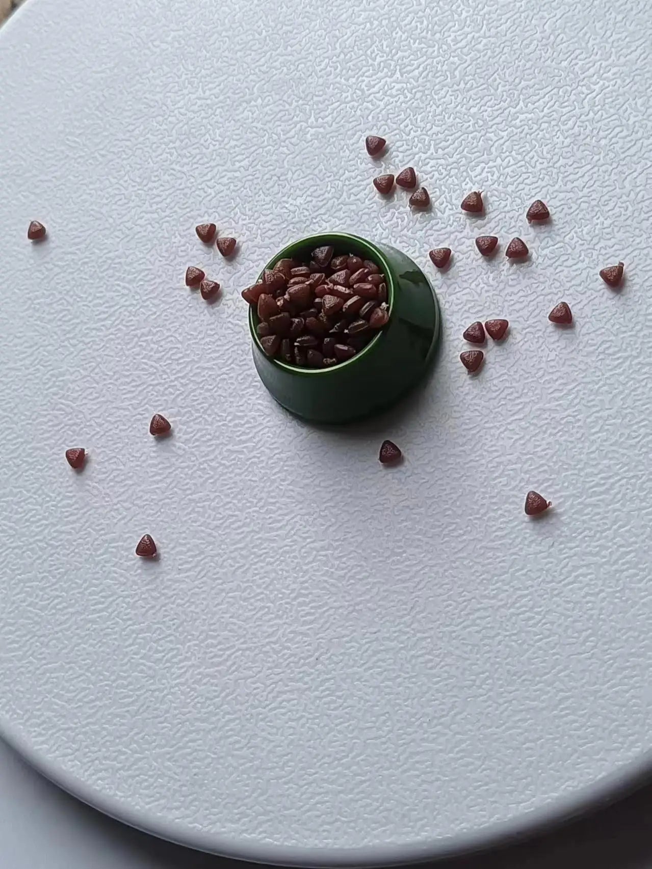 1/12 Dollhouse Miniature Food Play Scene Model Shooting Props Dog Food Cat Food Bowl/With Dry Food Doll Accessories Toys