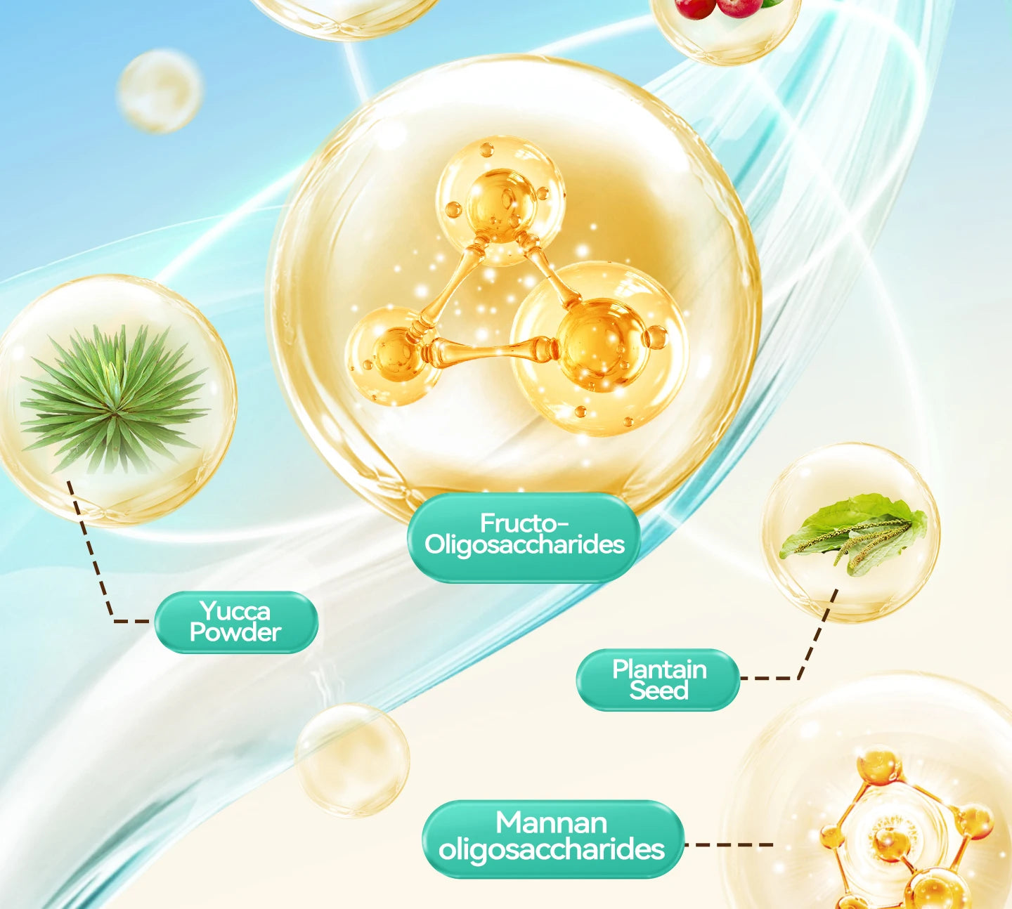 Chanbuni Cat Food Cat Snack Food for Cats Cat Supplies Premium Nutrition for Cats and Carats