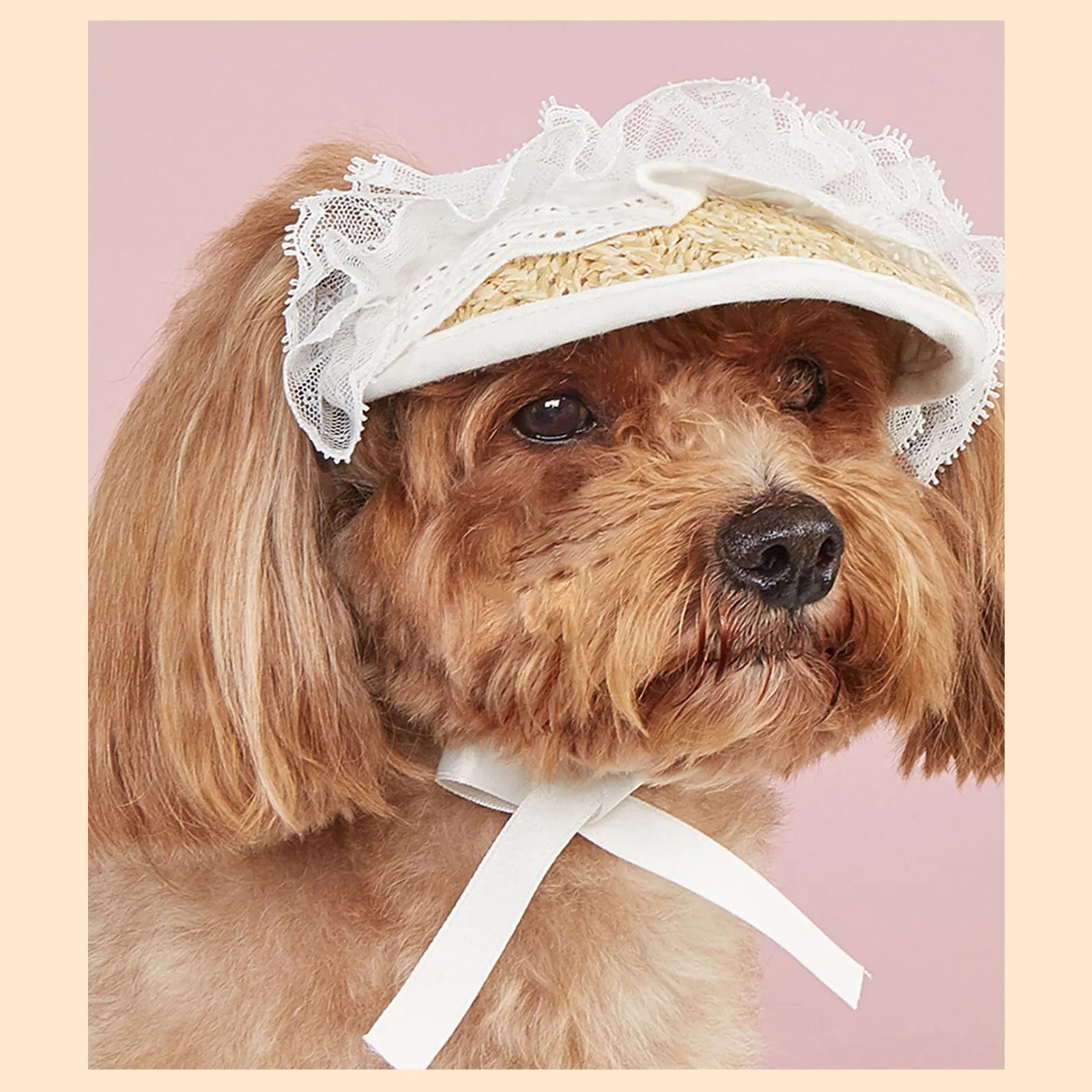 Summer Pet Sunshade Hat Adjustable Elastic Hat Fashionable And Versatile Lace Bow dog cat Hat