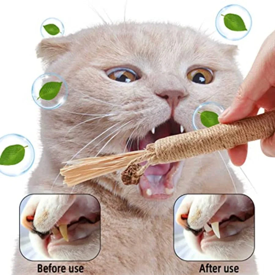 4 Pack tural Silvervine Sticks for Cats Chew Toys for Kittens Teeth Cleaning Catnip Toy Teething Stick Interactive Kitten Toys